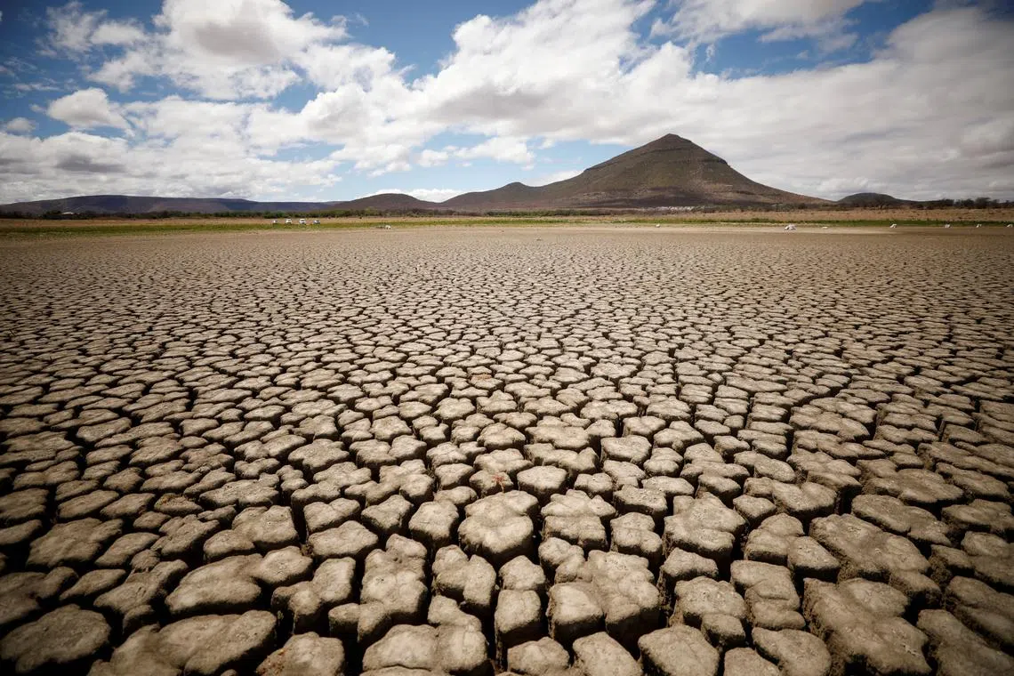 FILE PHOTO: Cracks are seen in the dried up municipal dam in drought-stricken Graaff-Reinet, South Africa, November 14, 2019. REUTERS/Mike Hutchings/File Photo