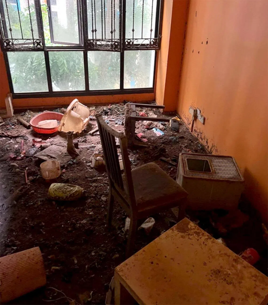 The living area in the apartment covered in rubble and dirt. The windows are unmeshed and opened, posing a risk to the cats.