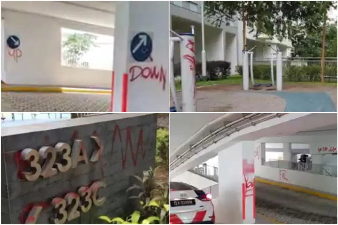 Photos circulating on social media showed profanities spray-painted at a multi-storey carpark, a block signage and fitness corner.