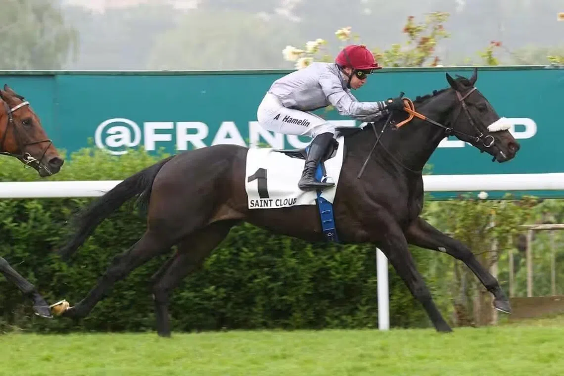 The Mikel Delzangles-trained Alam (Antoine Hamelin) recording an easy win in the Group 3 Prix Greffulhe (2,100m) at Saint-Cloud on May 5.

PHOTO: SCOOPDYGA