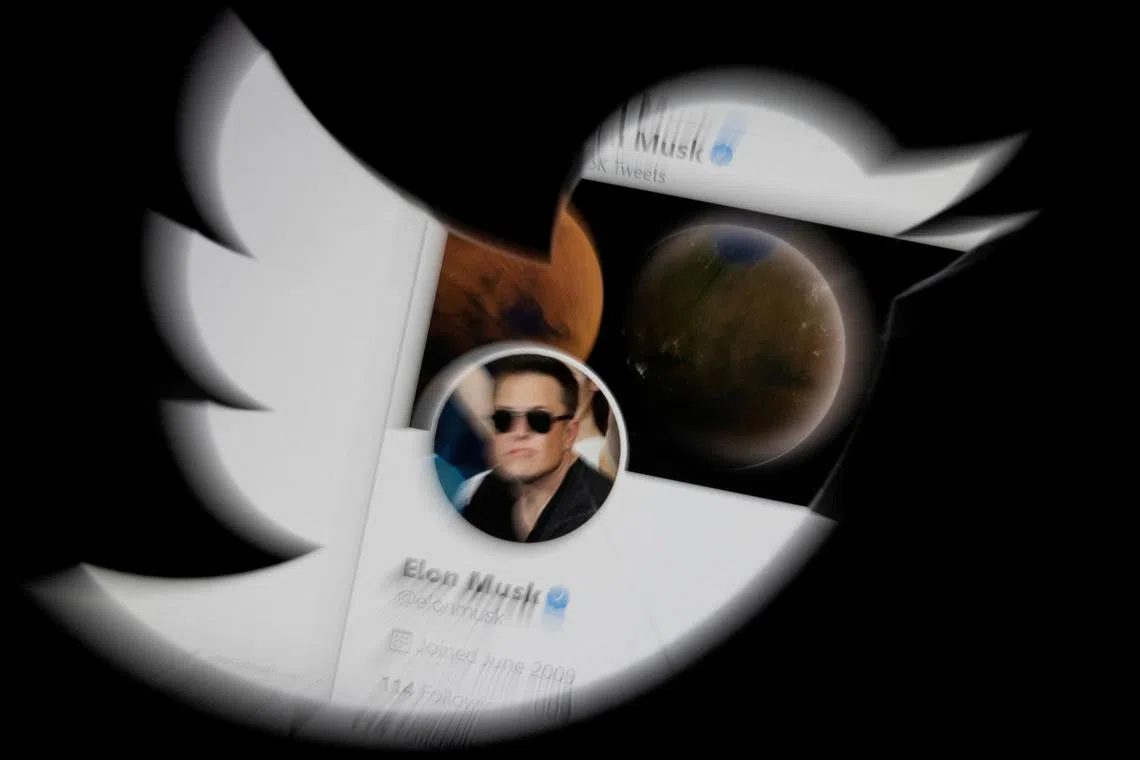 Elon Musk had allowed users to pay S$11 for the blue check mark that was previously reserved for verified accounts.