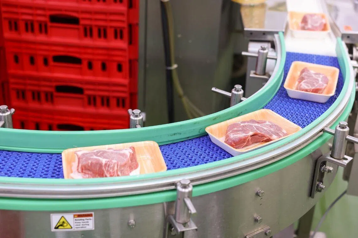 Freshly butchered FairPrice Malaysia pork travelling through a packaging conveyor belt 