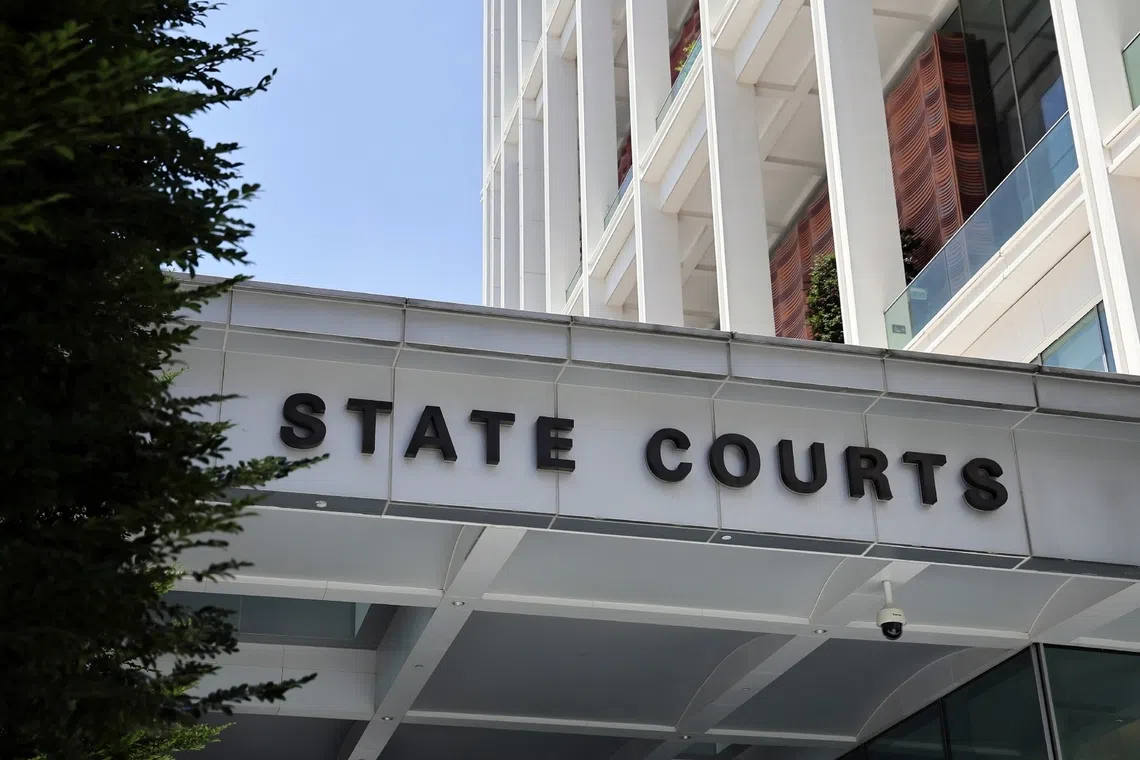 Mok Teck Nam, 65, pleaded guilty to a slew of offences, including voluntarily causing grievous hurt, using insulting words intending to cause harassment, and theft.