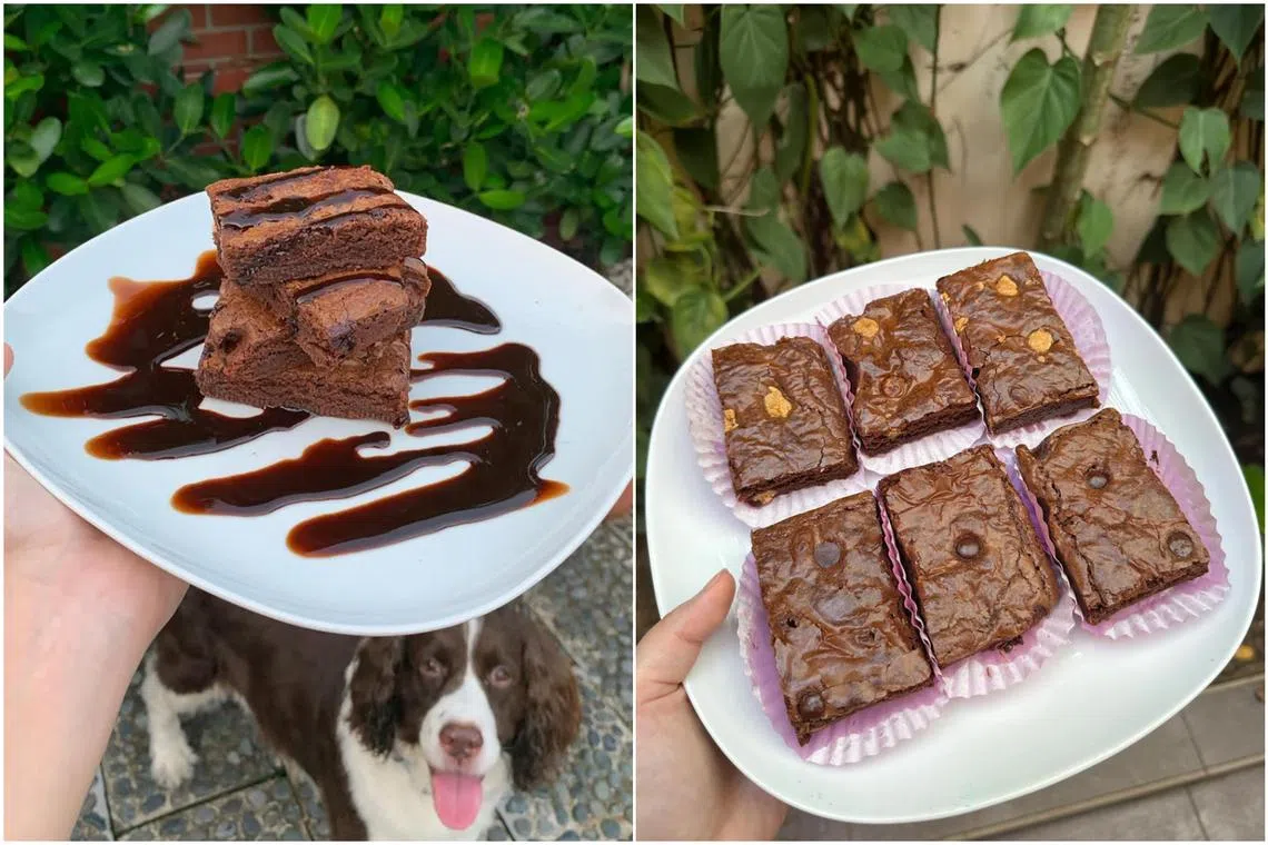 Ms Megan Gay's customer base largely consists of students who are her friends and friends of friends.