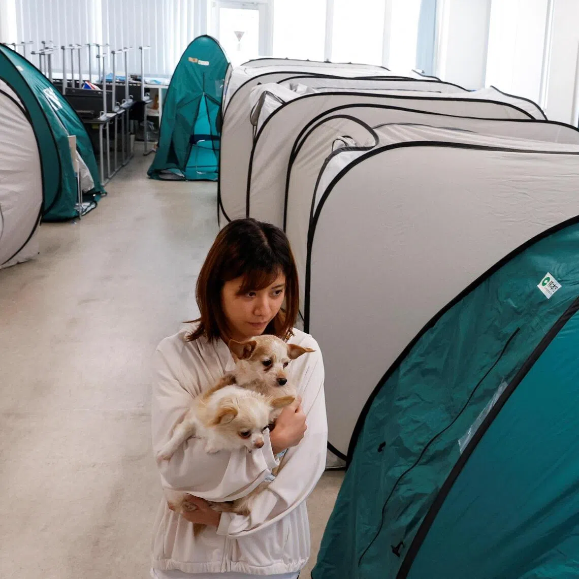Tomoko Takaoka, 31, who evacuated from Uki with her pet dogs Ku and Sheri,  at the Kyushu Animal Academy in a shelter for evacuees with pets in Kumamoto, Japan, on July 31.