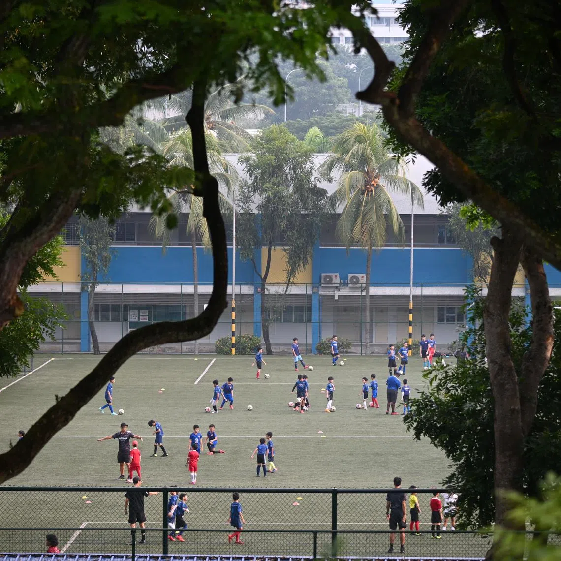 Singapore football officials must take the $50 million and turn the country's love for the sport into something wide and wonderful.
