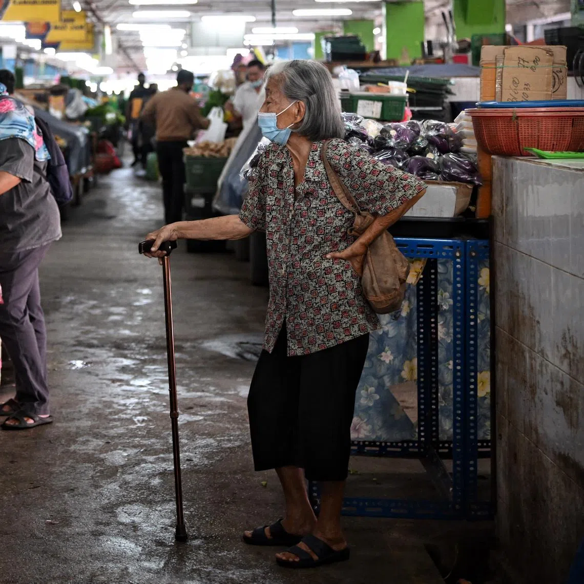 Malaysia is already an ageing society by United Nations standards, with about 7 per cent of its population aged 65 and above as of 2021.