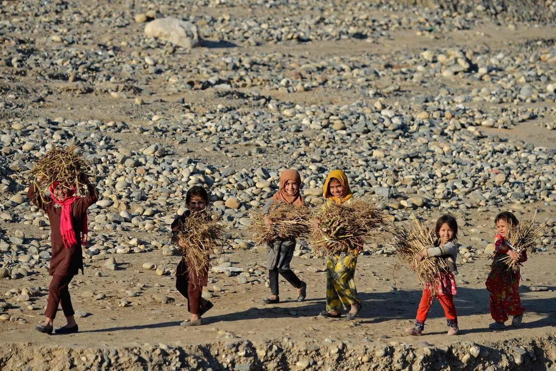 UN says refugees stuck in vicious circle of conflict and climate