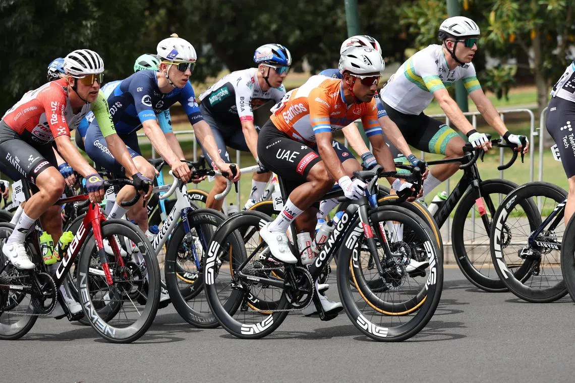 The peloton with Jhonatan Narvaez of UAE Team Emirates in the ochre leaders' jersey making its way around the Adelaide circuit during the Santos Tour Down Under stage six on Jan 26, 2025.