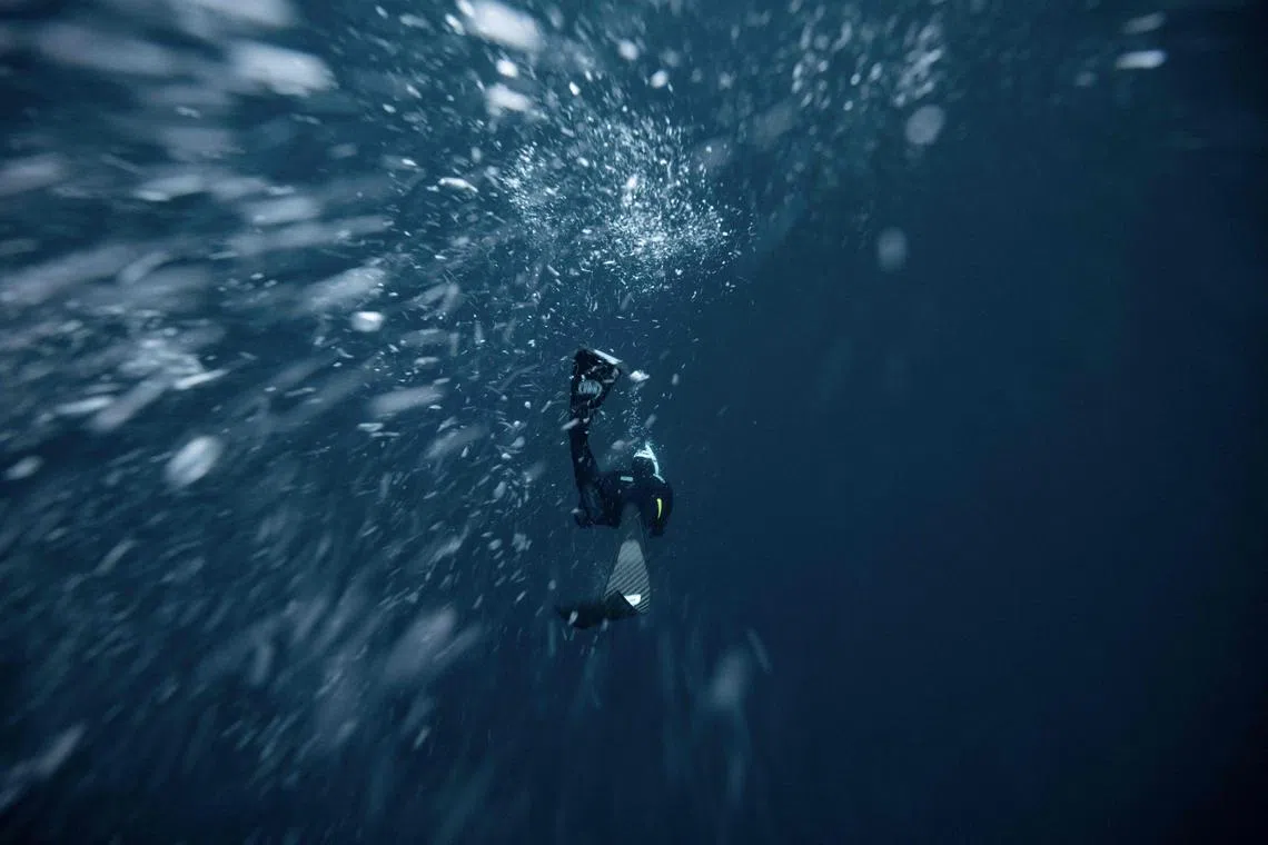Five times freediving World Champion France's Arthur Guerin-Boeri dives in the deep to spot Orcas (Killer Whales), in the Spildra Island northern Arctic Circle, on Jan 25, 2023. 