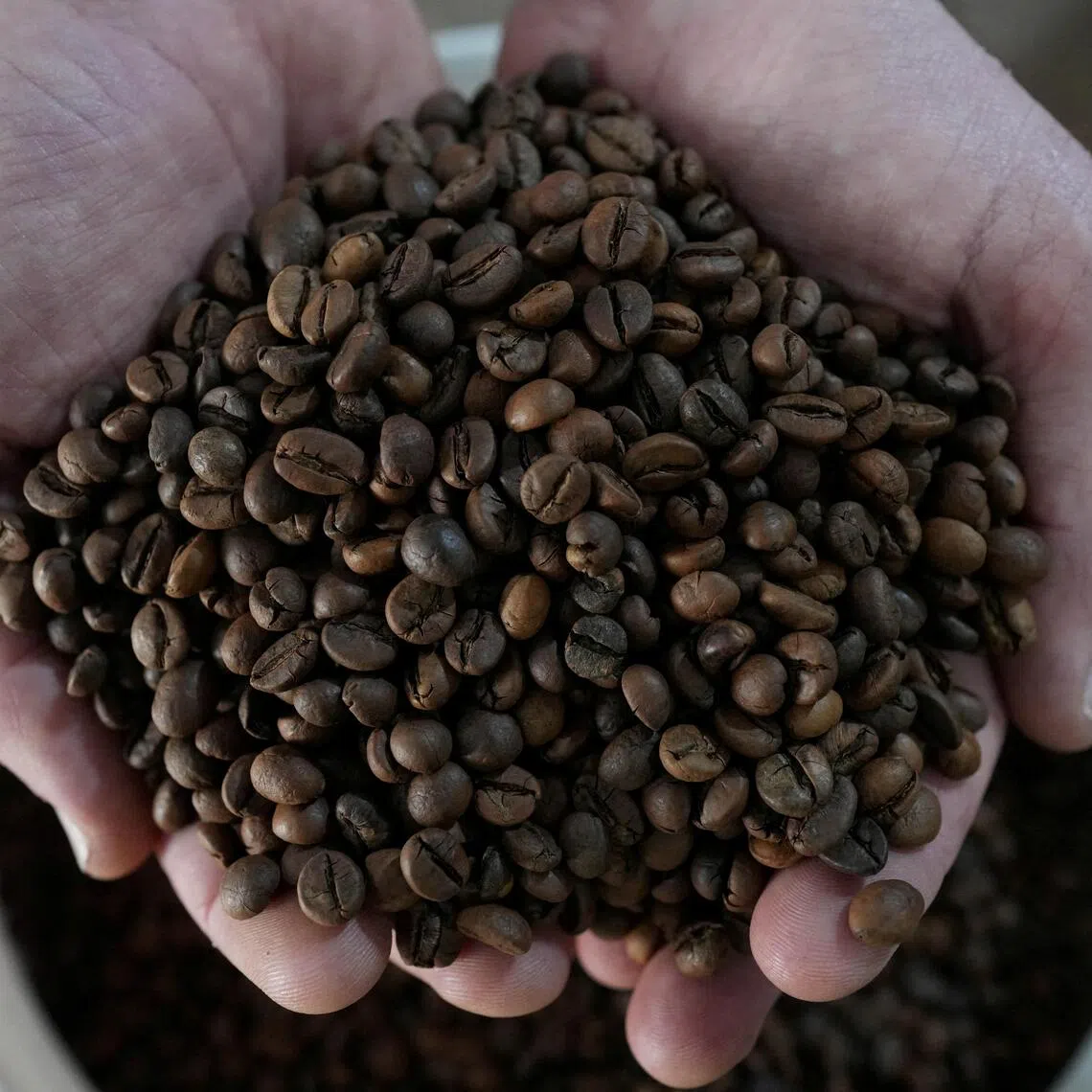 Vietnam produces about 40% of the world’s robusta coffee beans, typically used in instant coffee blends.