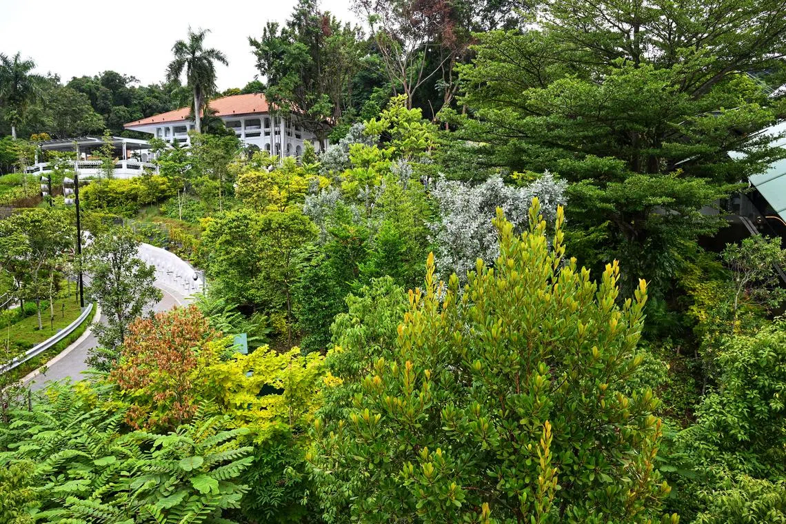 Singapore is collaborating with more than 20 countries on carbon credits.