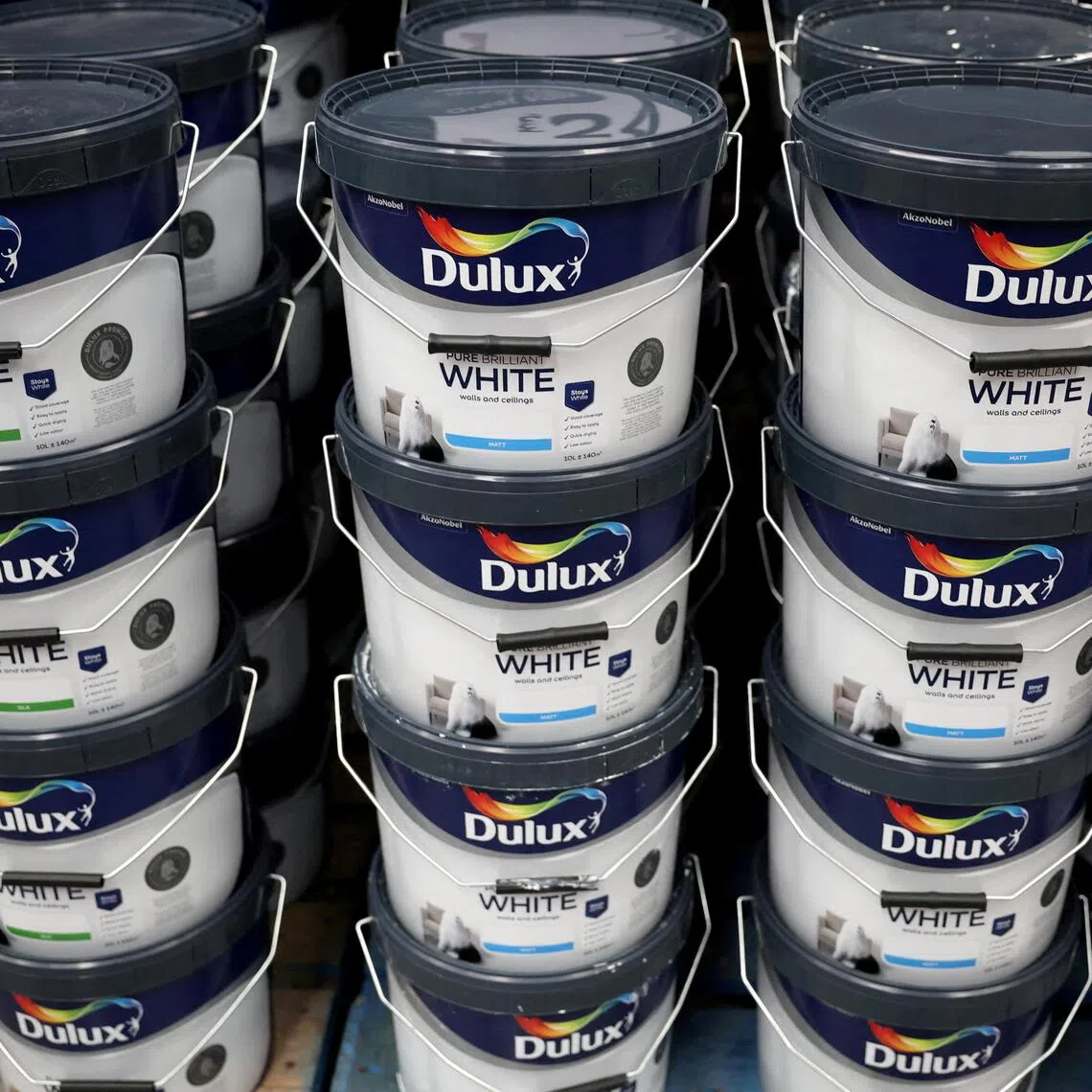 Dulux paintmaker AkzoNobel earlier divested its decorative paints operations in India and Pakistan for US$1.6 billion and €50 million respectively.