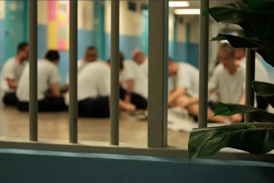 Senior Minister of State for Home Affairs Faishal Ibrahim said the prisons healthcare system is aligned with the national standards and can manage inmates with varying conditions.