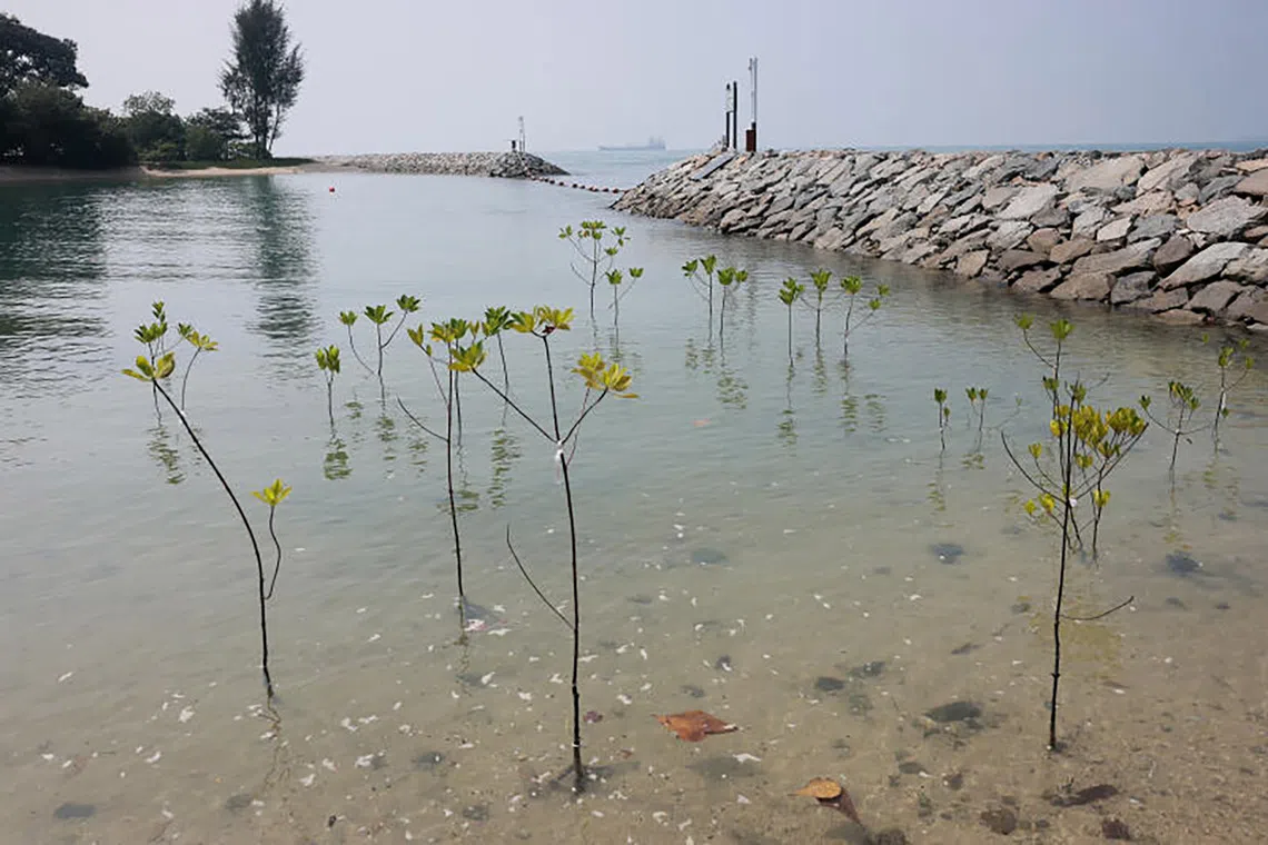 Sisters’ Islands on Sept 30, 2026.