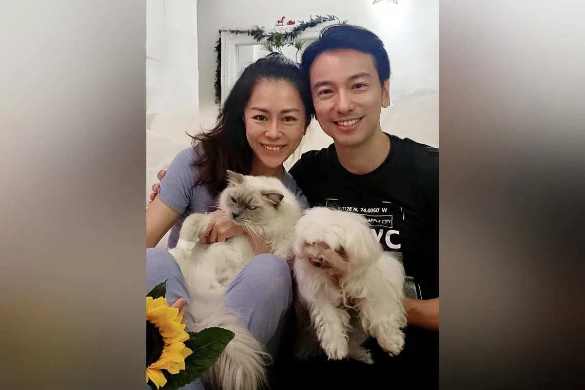 Local host-actress Michelle Chia and her husband Jackson Chen with their fur kids, Tasha (right), a mini maltese, and Marshal, a ragdoll cat.