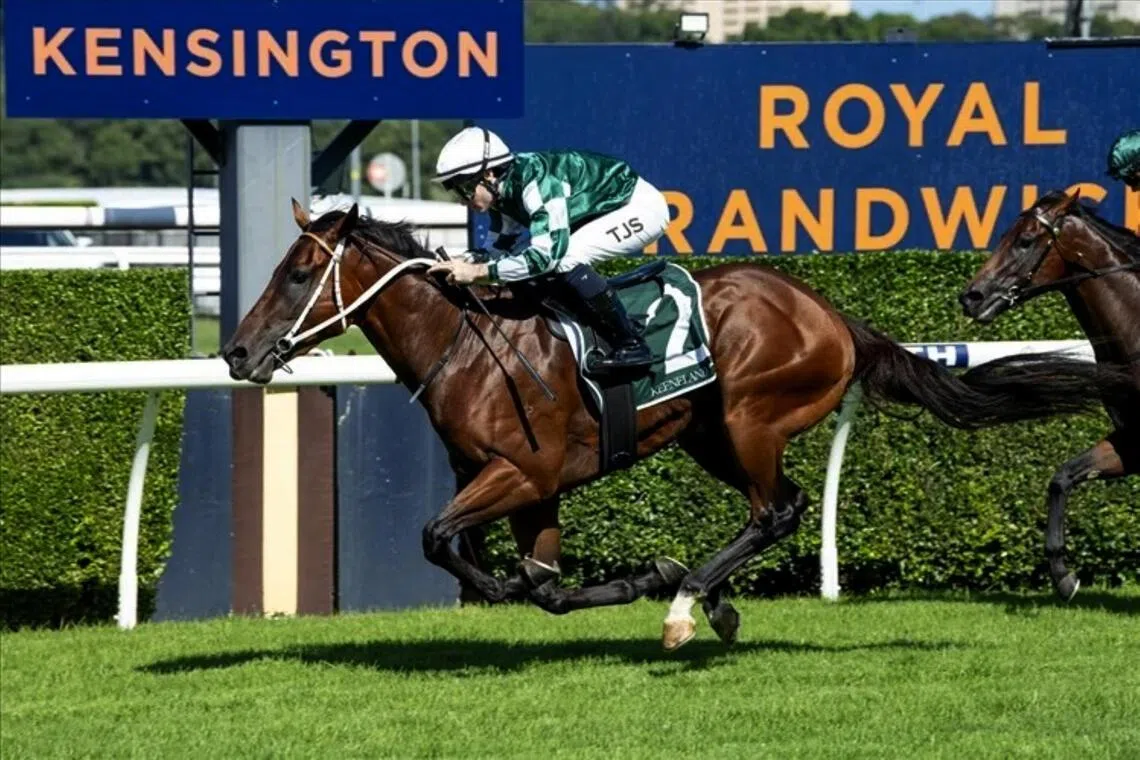 Under Focus - The Kris Lees-trained Under Focus (Tyler Schiller) scoring his only win in five starts in the Keeneland Breeders' Cup Handicap (1,100m) in Randwick on March 25.

PHOTO: RACING AND SPORTS