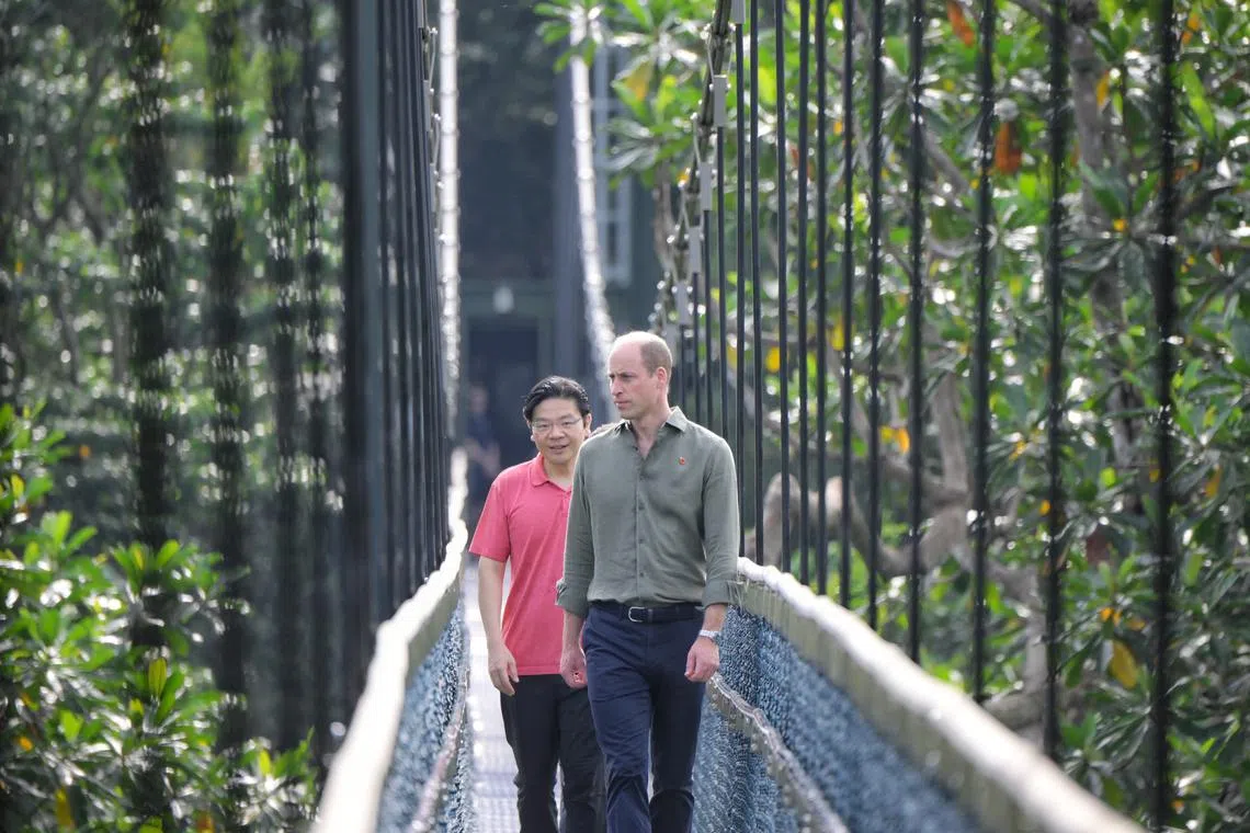 Britain’s Prince William with DPM Lawrence Wong on the TreeTop Walk at Windsor Nature Park, on Nov 8, 2023.