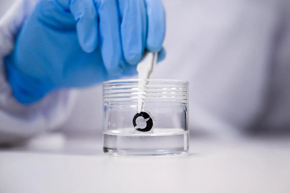 ST20230830_202330993326 oclens04 Azmi Athni//

The smart contact lens is dipped into a saline solution which allows the battery to charge.

Scientists from Nanyang Technological University, Singapore (NTU Singapore) have developed a flexible battery as thin as a human cornea, which stores electricity when it is immersed in saline solution, and which could one day power smart contact lenses that can display information, like in the movies.

(ST PHOTO: AZMI ATHNI)
