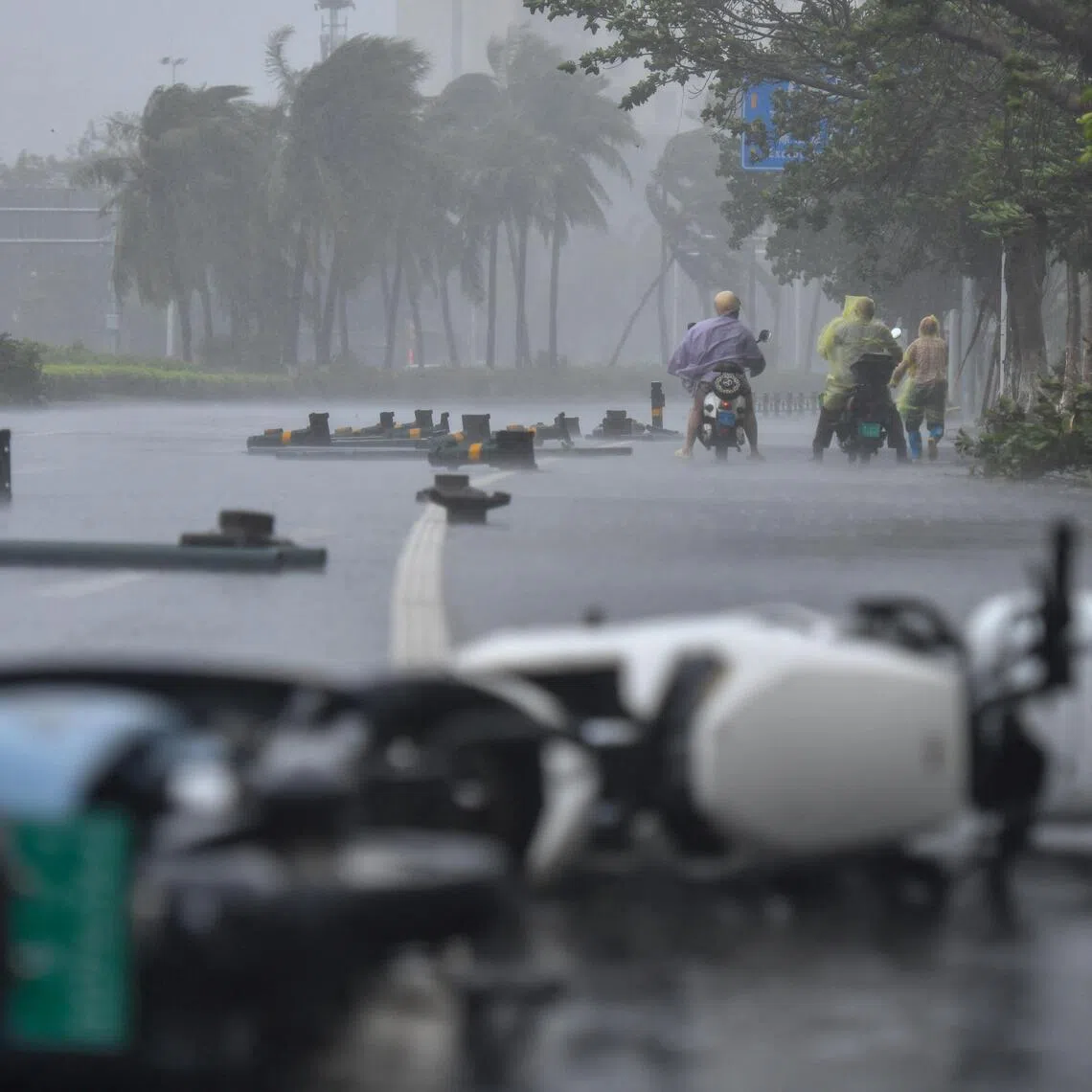Scientists and meteorologists worldwide are seeking to better understand typhoons to improve forecasts and mitigate damages.