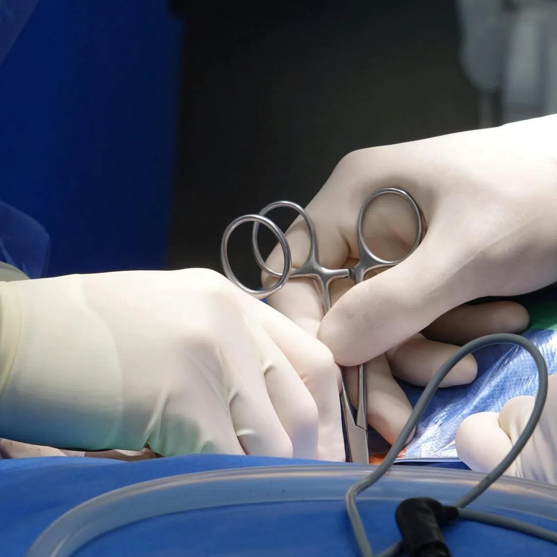 The emergency supply, which will be released from May, will come from Japan’s stockpile of some 500 million medical gloves, according to local media.