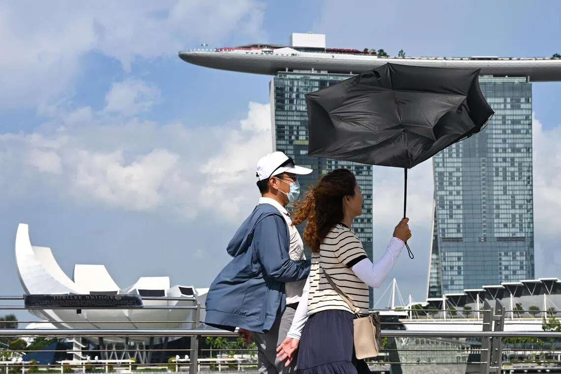 2026 outlook: What’s next for the environment – and the top stories of 2025