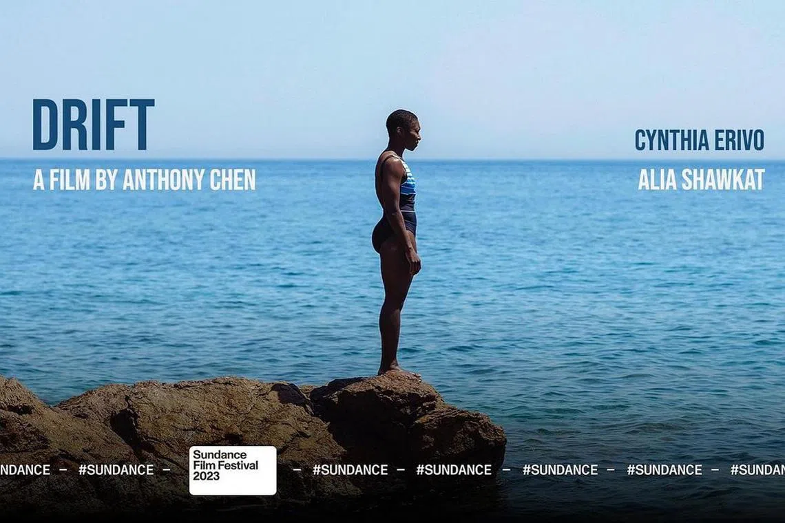 Drift is is about a woman who flees to Greece and survives on menial labour while coping with war trauma.