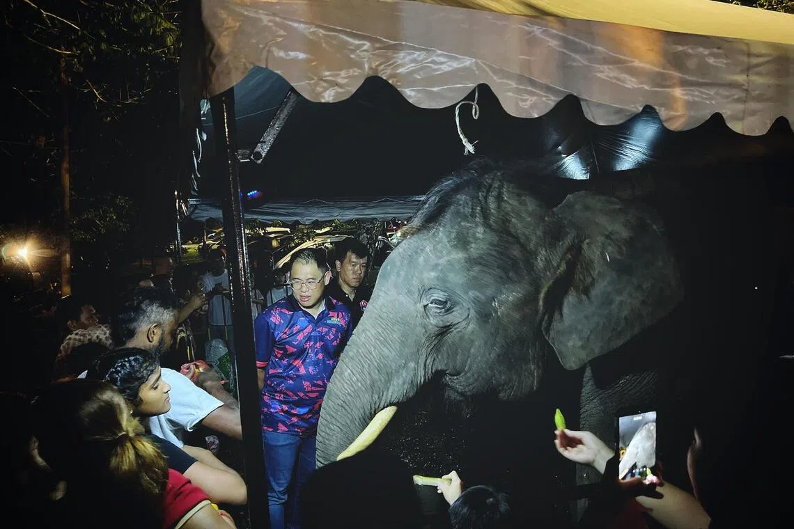 The Johor state government wants the public to co-exist with elephants rather than fear them.
