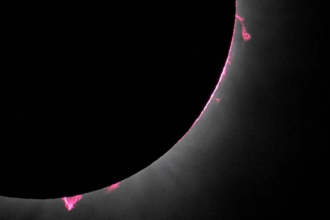 Solar prominences are seen during a total solar eclipse in Dallas, Texas, US., April 8, 2024. 