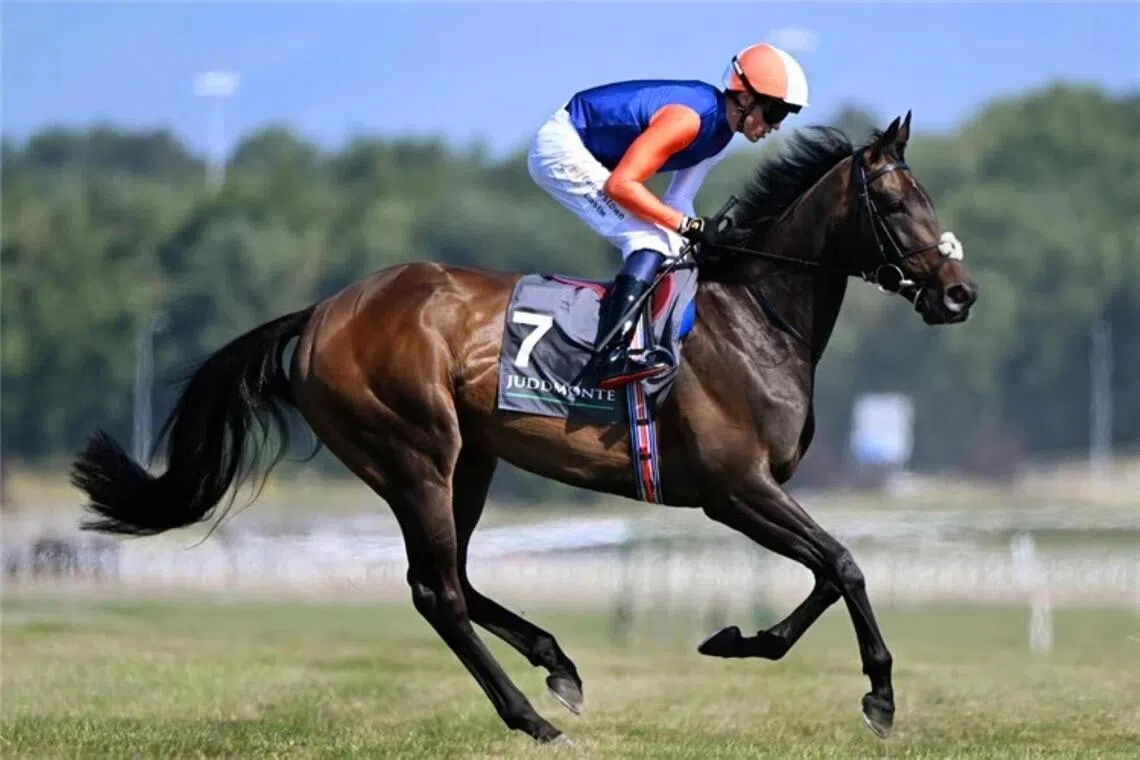 Johanna Walsh lands G1 Irish Oaks in style