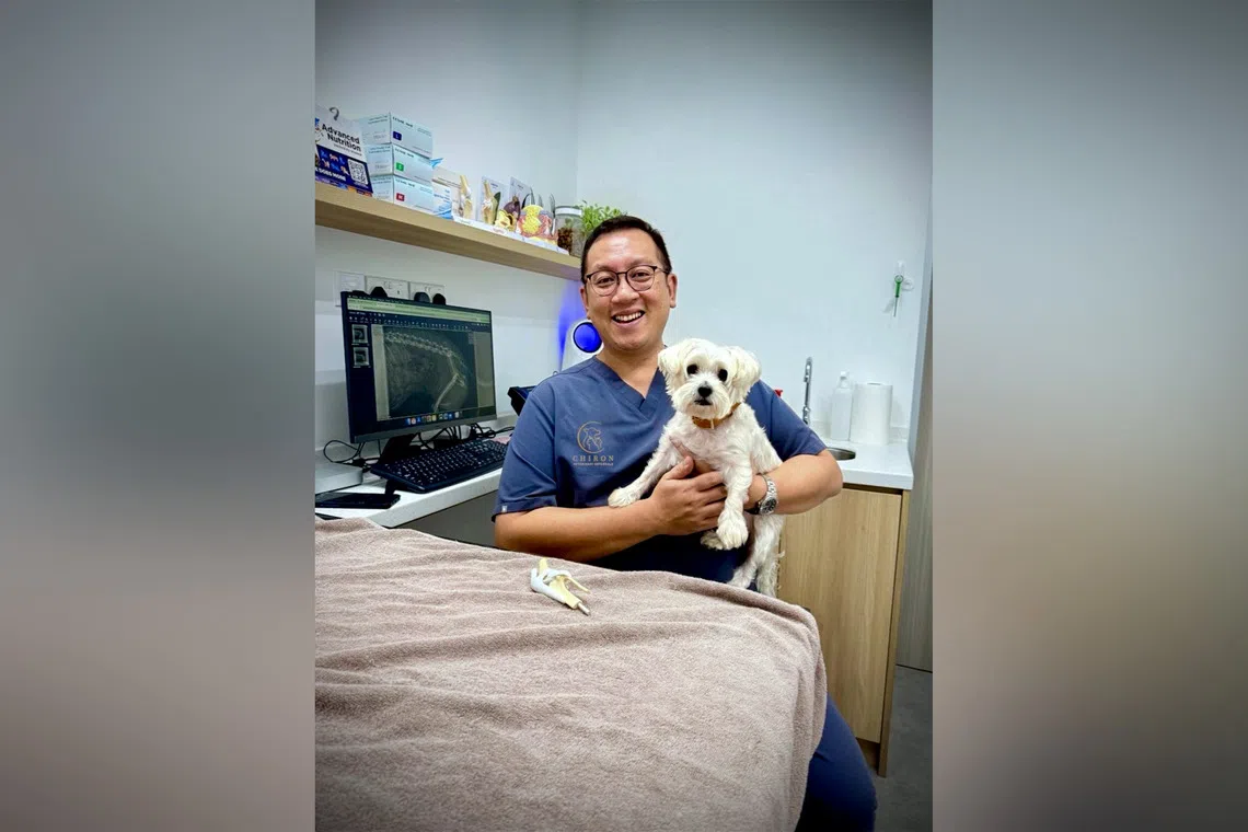 Dr Ryan Leong from Chiron Veterinary Referrals says pet owners hesitate to ask questions during vet visits, but asking about possible diagnoses helps understand the pet’s condition better.