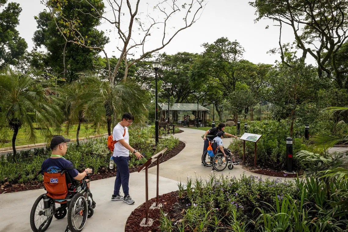 CMG20241212-YeapCT01/叶振忠/杨烨 /Opening of Therapeutic Garden at Punggol Park [Punggol Park]

Caption:
NParks opened the new Therapeutic Garden at Punggol Park with Singapore’s first outdoor boccia court and obstacle course specially designed for wheelchair users on 12 Dec 2024. This is the 16th therapeutic garden across Singapore and Second Minister for National Development Ms Indranee Rajah visited the park and participated in various activities with the park users.