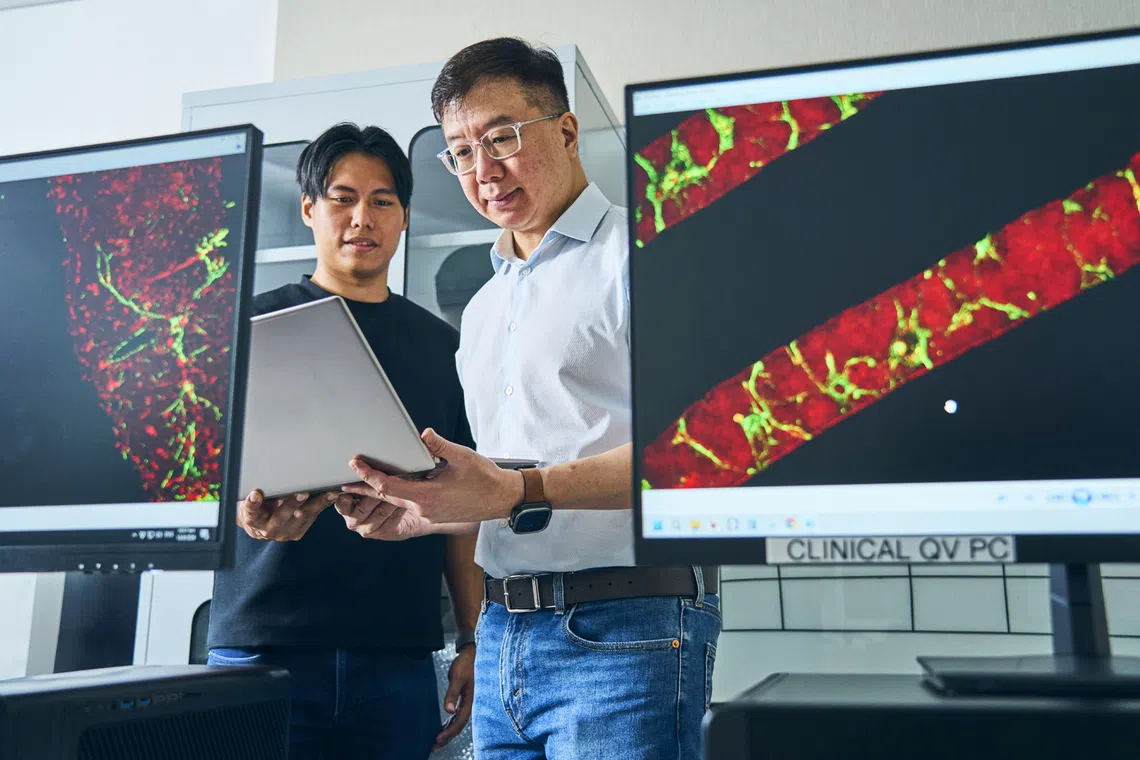 straitstimes.com - From clearer diagnoses to faster matching for clinical trials: How Singapore's precision medicine sector is changing patient care