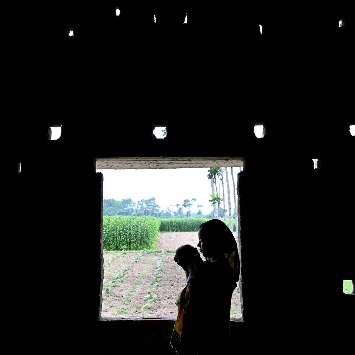 Bangladeshi migrants who had allegedly illegally crossed the border into India, arrive for verification near the Indian Border Security Force camp at Hakimpur on the outskirts of Kolkata on May 28. 