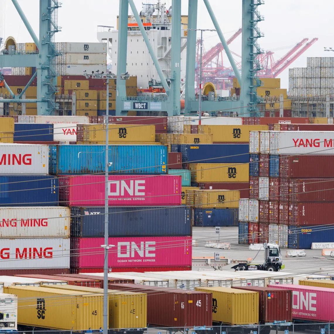 Shipping containers from China sit at the Port of Los Angeles in San Pedro, California, U.S., November 5, 2025. REUTERS/Mike Blake
