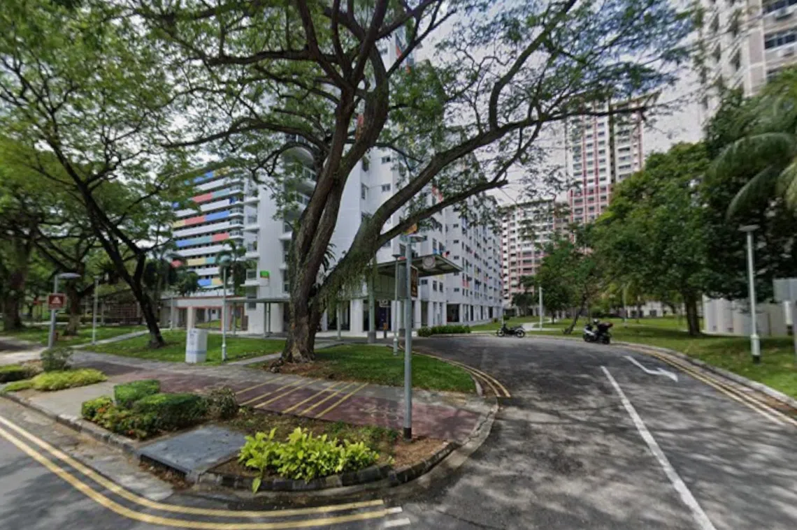 The incident happened near the vicinity of Block 12 Bedok South Avenue 2 at about 2.30am on Oct 27.