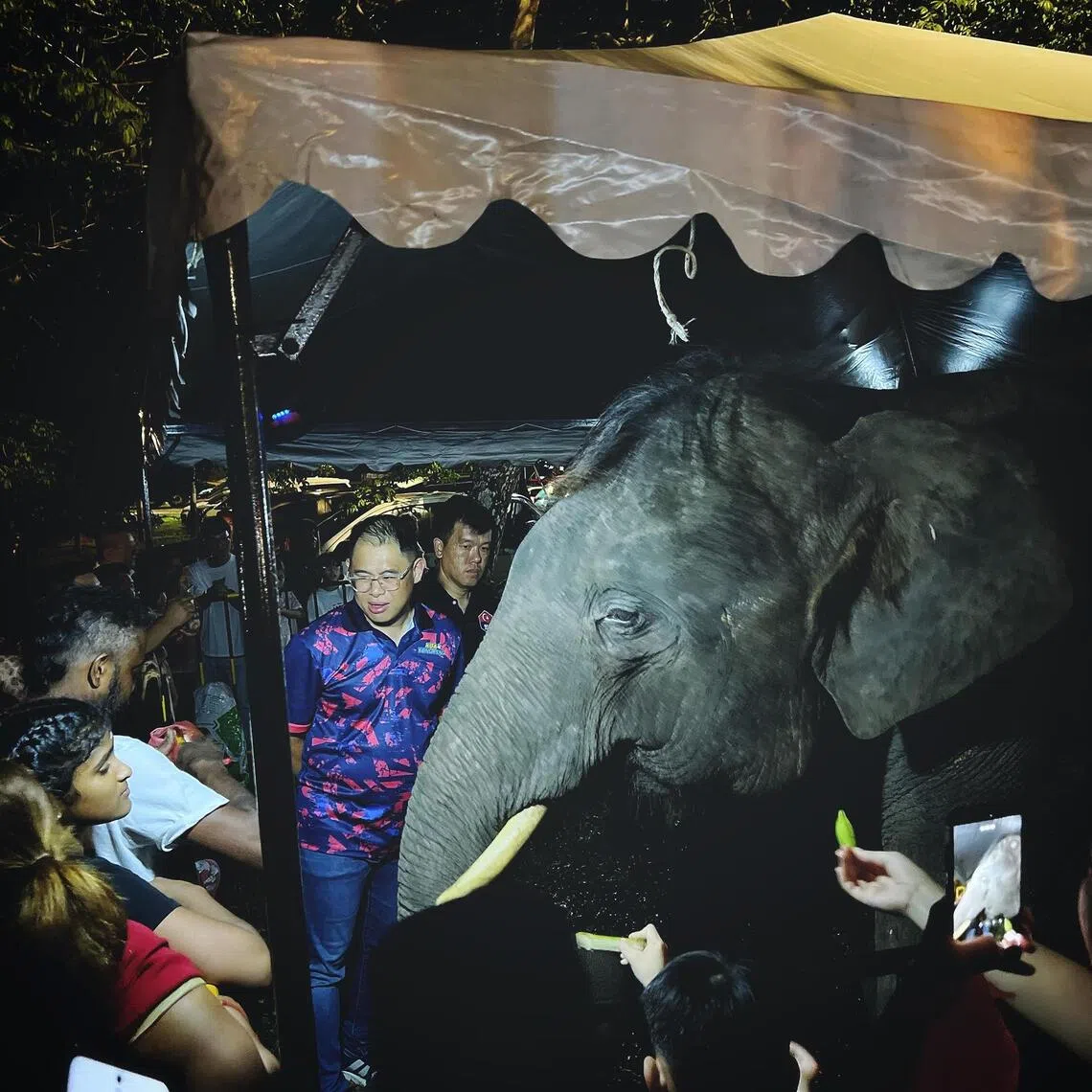 The Johor state government wants the public to co-exist with elephants rather than fear them.
