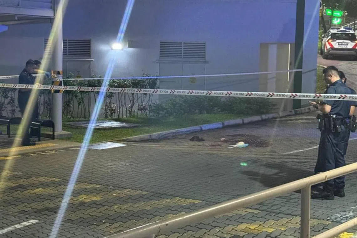 Two more men have been arrested over a fight in the early hours of Nov 11 in Woodlands, which resulted in a man being arrested after he was taken to the hospital.