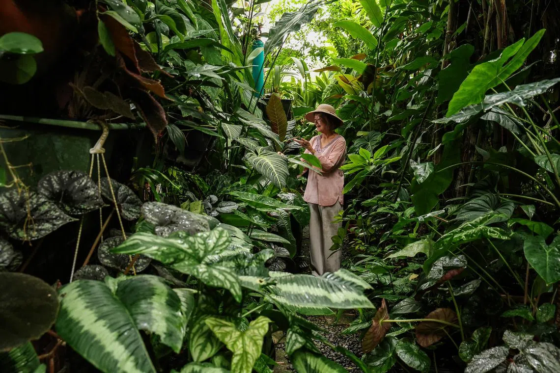 Former ST staffer Irene Ngoo who has sold her 7,800 sq ft property in Sunset Heights and will move to a condominium. Taken 21 July 2025