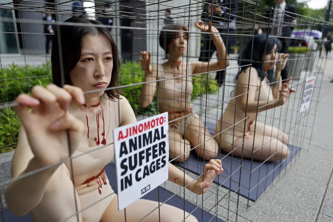 PETA animal rights activists staging a protest outside the venue of Ajinomoto Co. Inc.'s annual shareholder meeting in Tokyo, Japan, on June 20, 2025. 