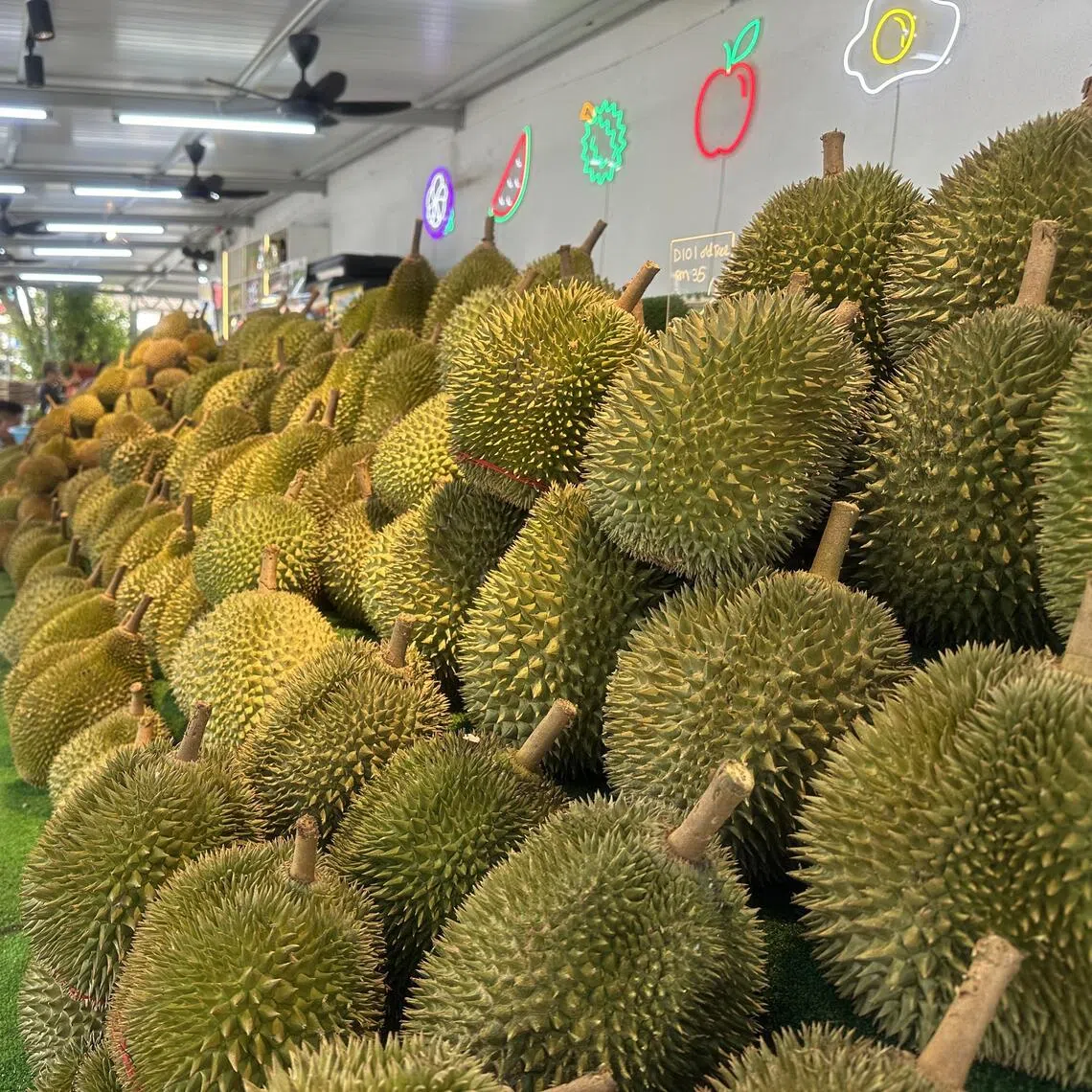 Between 2020 and 2024, Malaysia’s durian exports to Europe surged 162 per cent.