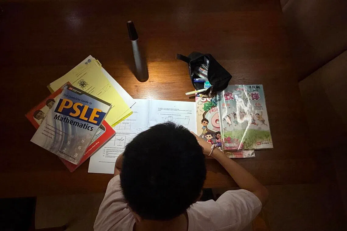 To learn efficiently, experts suggest pupils try methods such as spaced repetition and active recall, and interleaving, and also get enough sleep so they can focus and perform better in tests.