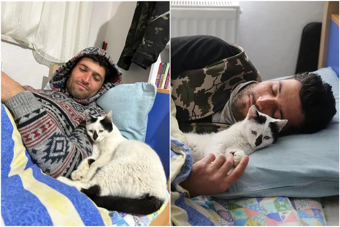 The cat was rescued after being trapped for 129 hours following the Feb 6 earthquake that struck Turkey and Syria.