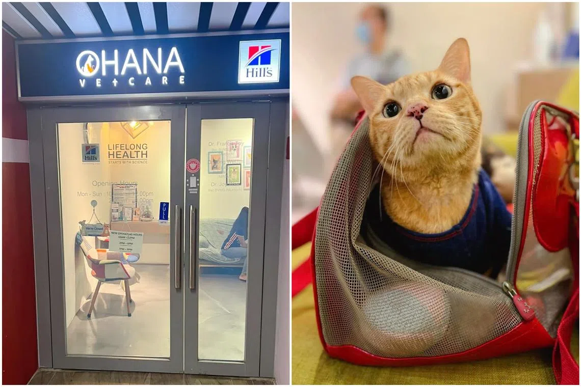 Ms Juliet Isabella tried calling Ohana Vetcare Clinic for more than an hour to book an appointment for her cat.