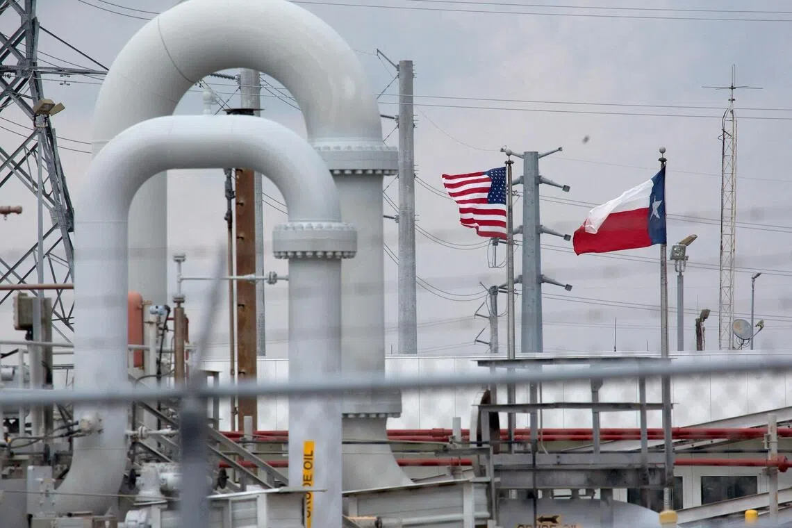 Foreign buyers snap up nearly half of oil released from US reserve in sign of supply crunch