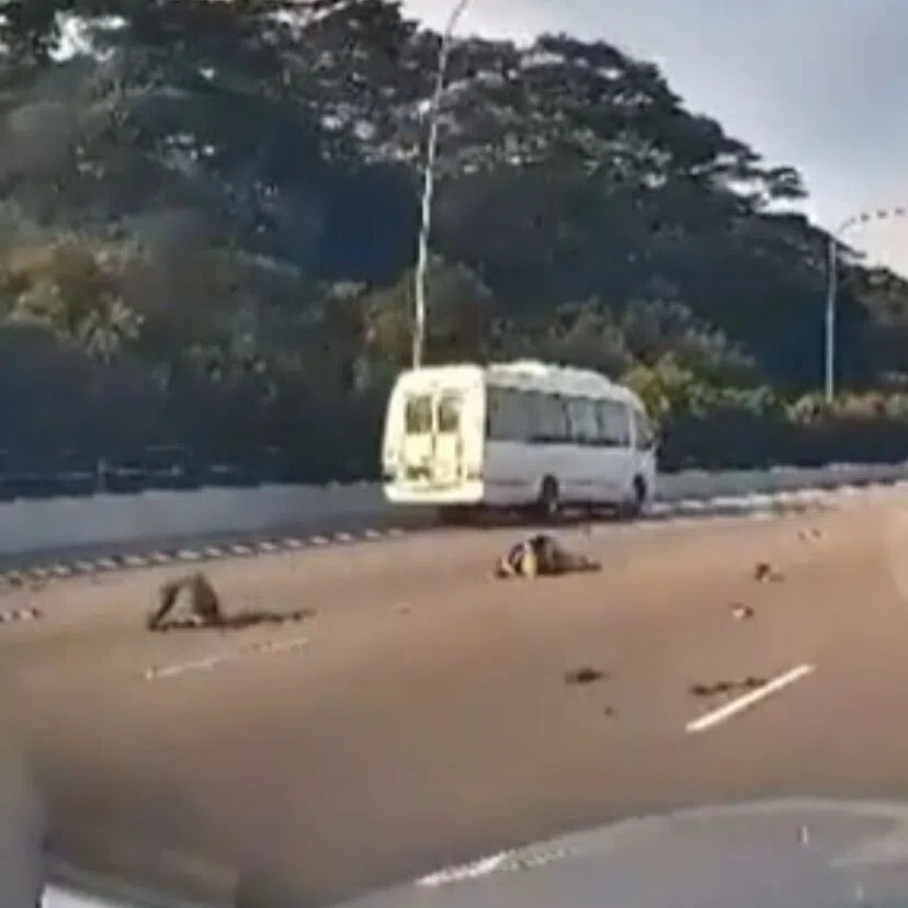 The police and Singapore Civil Defence Force said that they were alerted to the accident on the PIE towards Changi Airport at about 5.50pm on Sept 20.