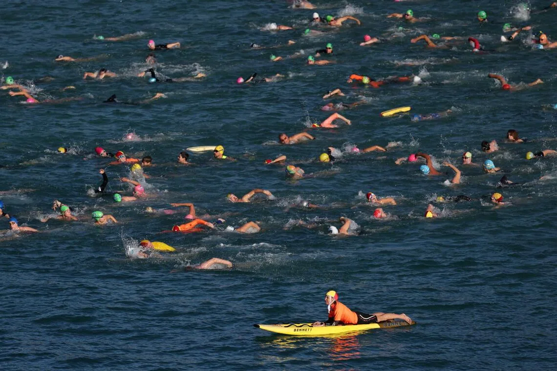 Mauled Australian swimmer recalls punching shark at Sydney beach