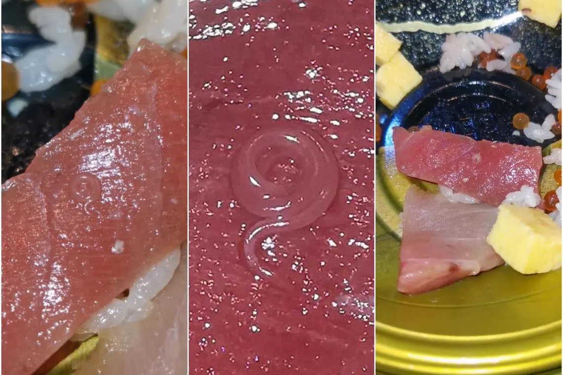 Ms Jayice Tan spotted a worm moving in her ready-to-eat meal from Don Don Donki in 100 AM mall in Tanjong Pagar on Feb 8.