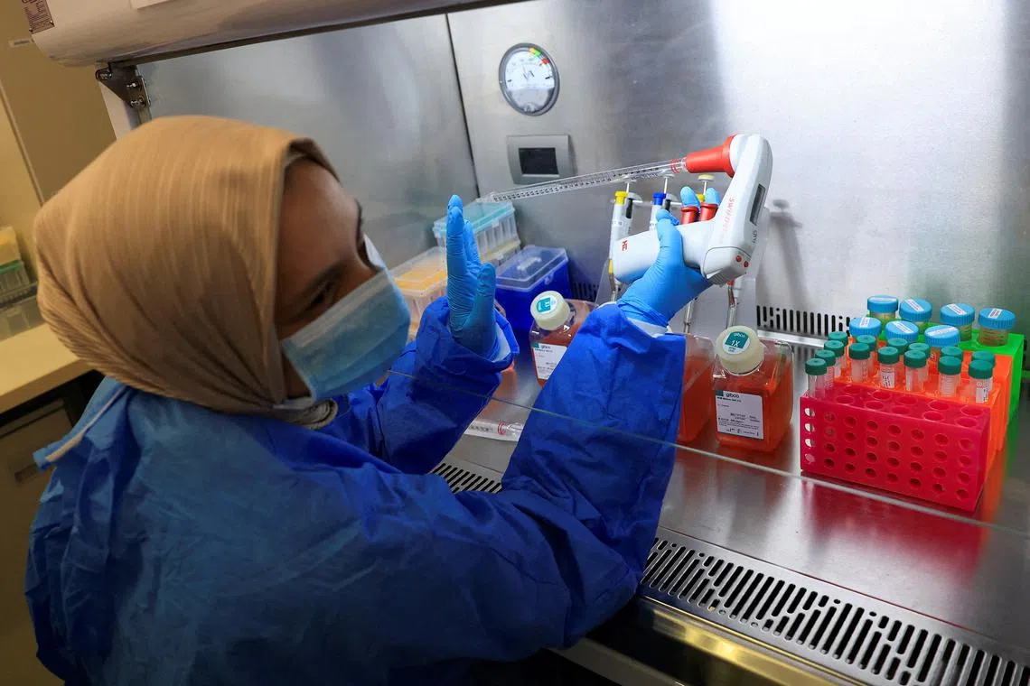 FILE PHOTO: Scientific officer Maryam Karaan works in the research lab at the University of Cape Town's Institute of Infectious Disease and Molecular Medicine, in Cape Town, South Africa February 17, 2025. REUTERS/Esa Alexander/File Photo