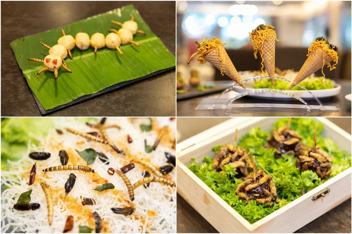 House of Seafood is cooking up a menu of 30 insect-infused dishes to give customers more choice.